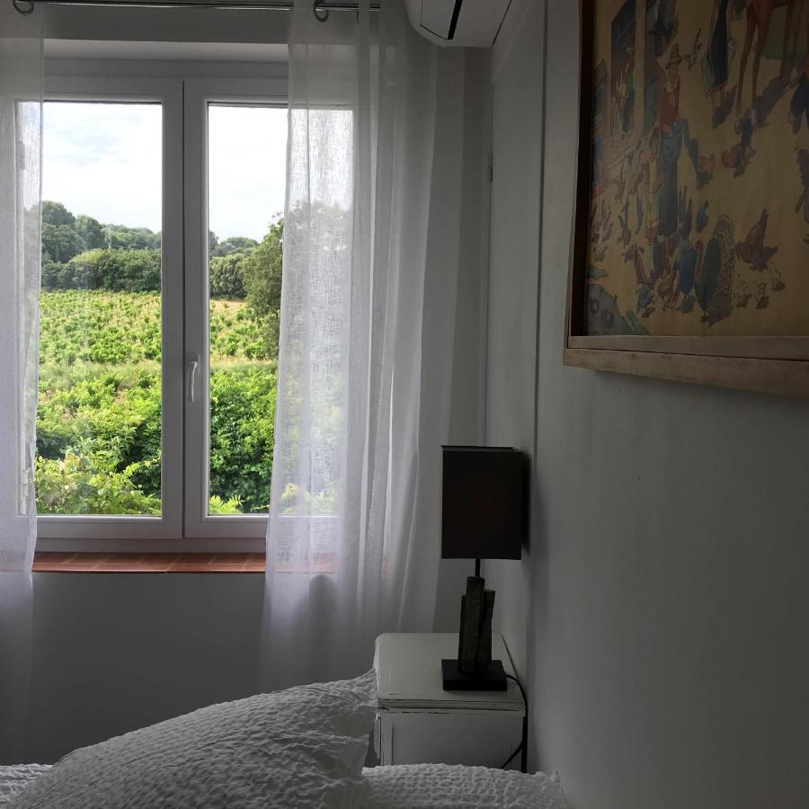 Chambres D'Hotes Et Gites Le Mas Mellou Orange  Exteriör bild